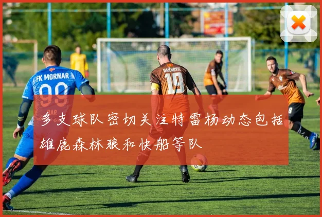 多支球队密切关注特雷杨动态包括雄鹿森林狼和快船等队