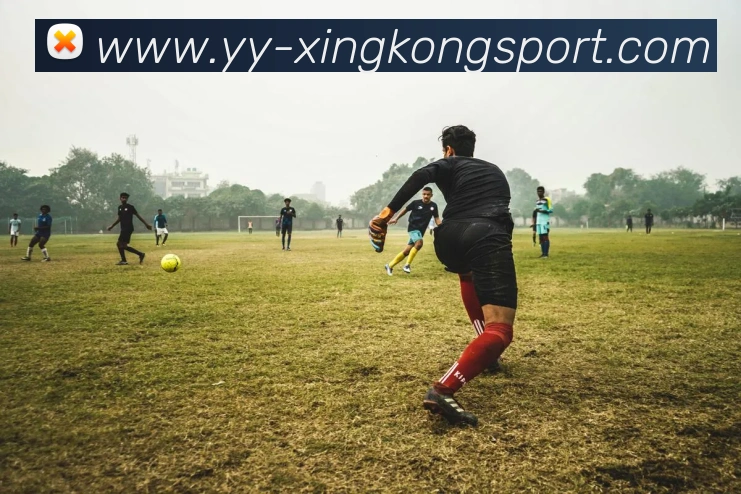 星空足球平台生态图